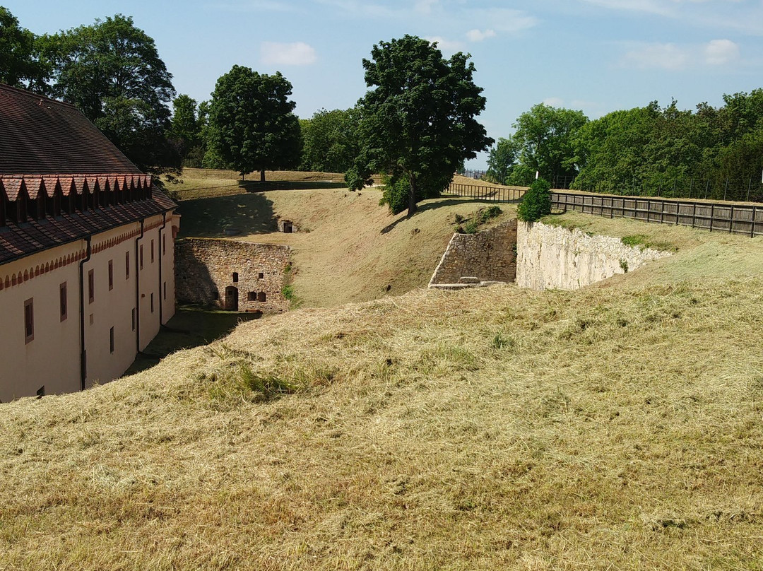 Festung Rüsselsheim景点图片