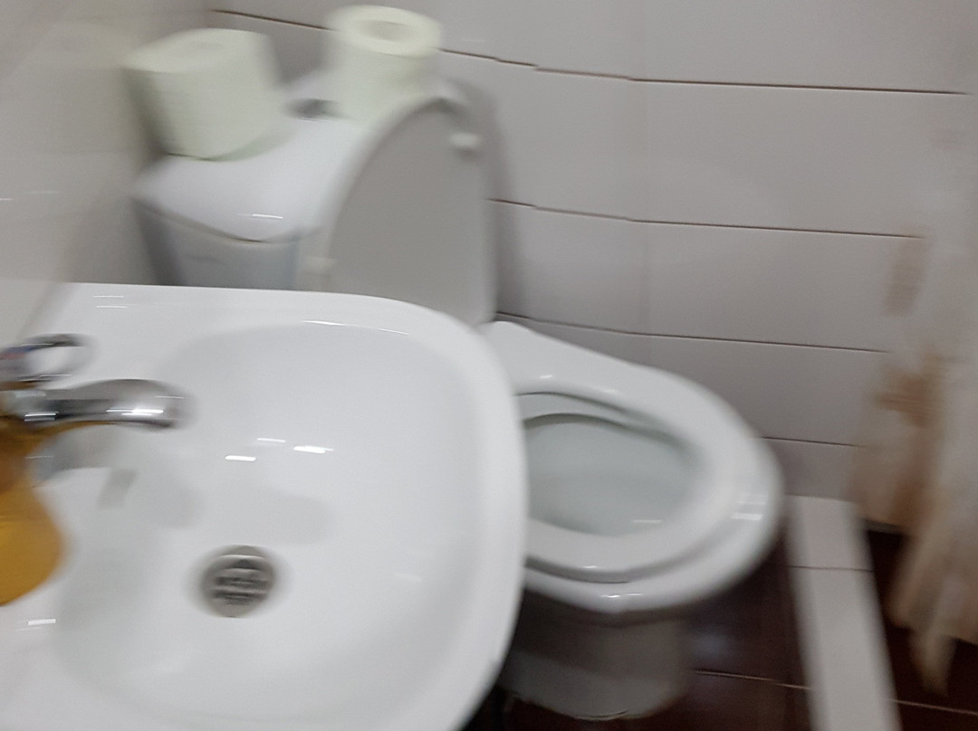 Ashu Guest House主图