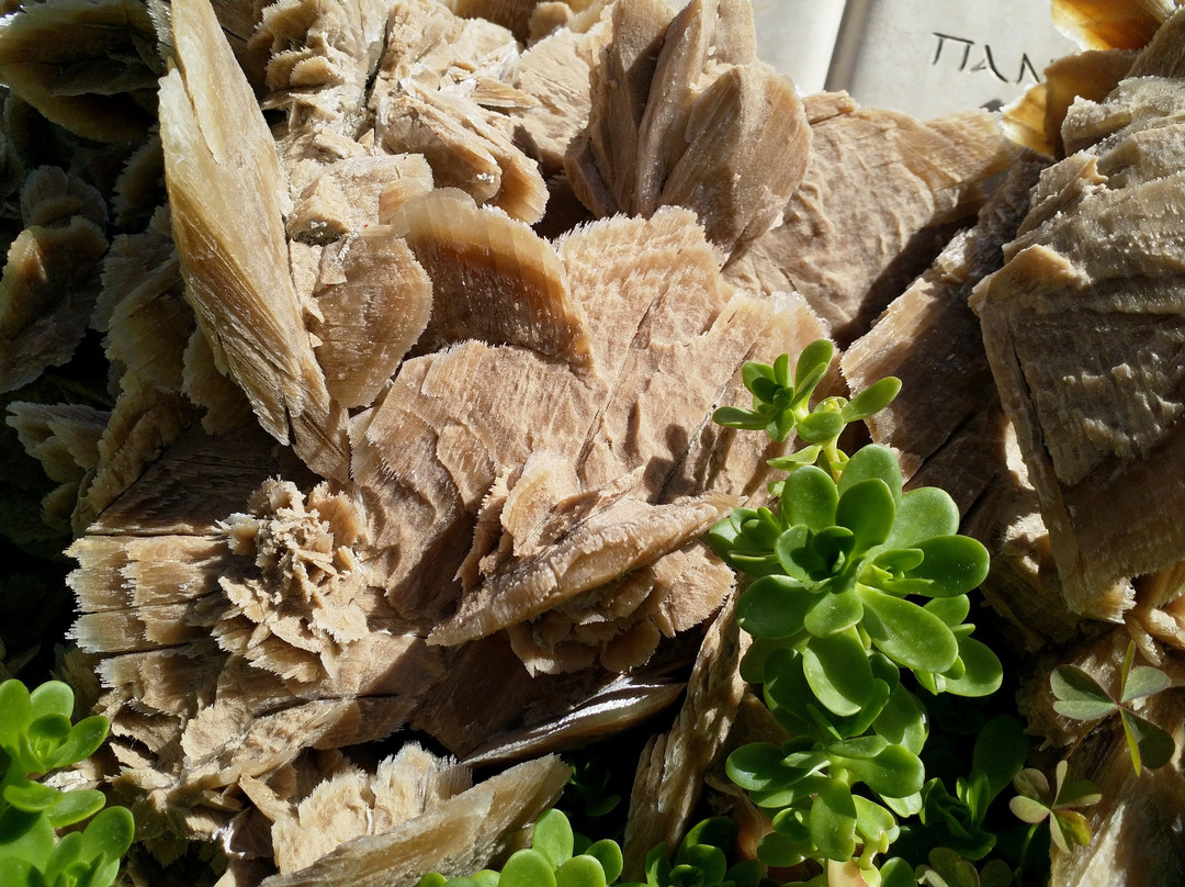 Monastery of St. Ephrem the Syrian-Mavrovouni必去景点