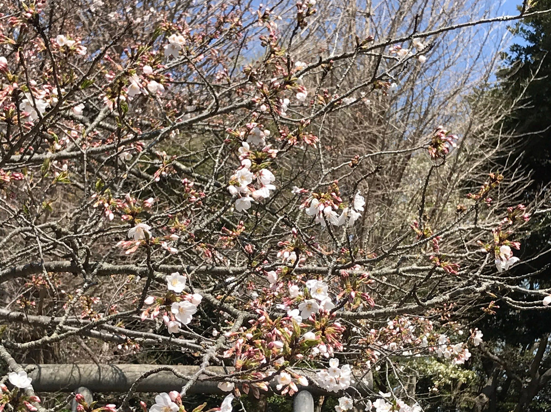 Kuzuharaoka Shrine景点图片