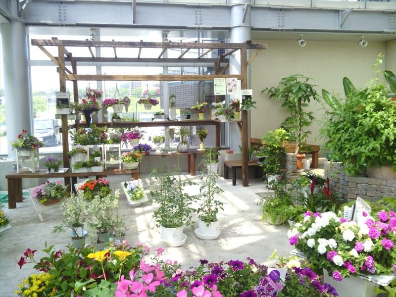 Michi-no-Eki Omuta Hanapurasu-大牟田市必去景点