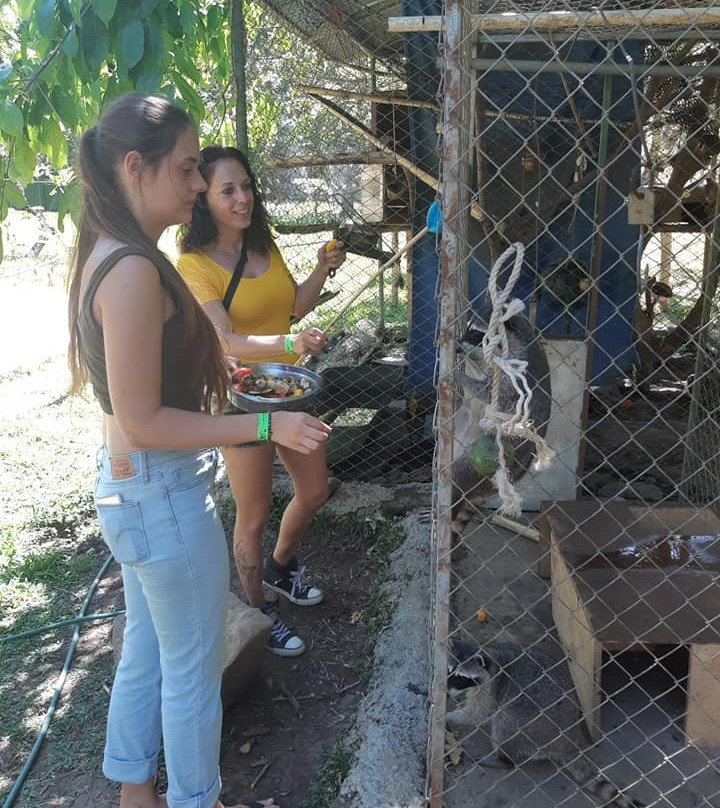 Costa Rica Animal Rescue Center景点图片