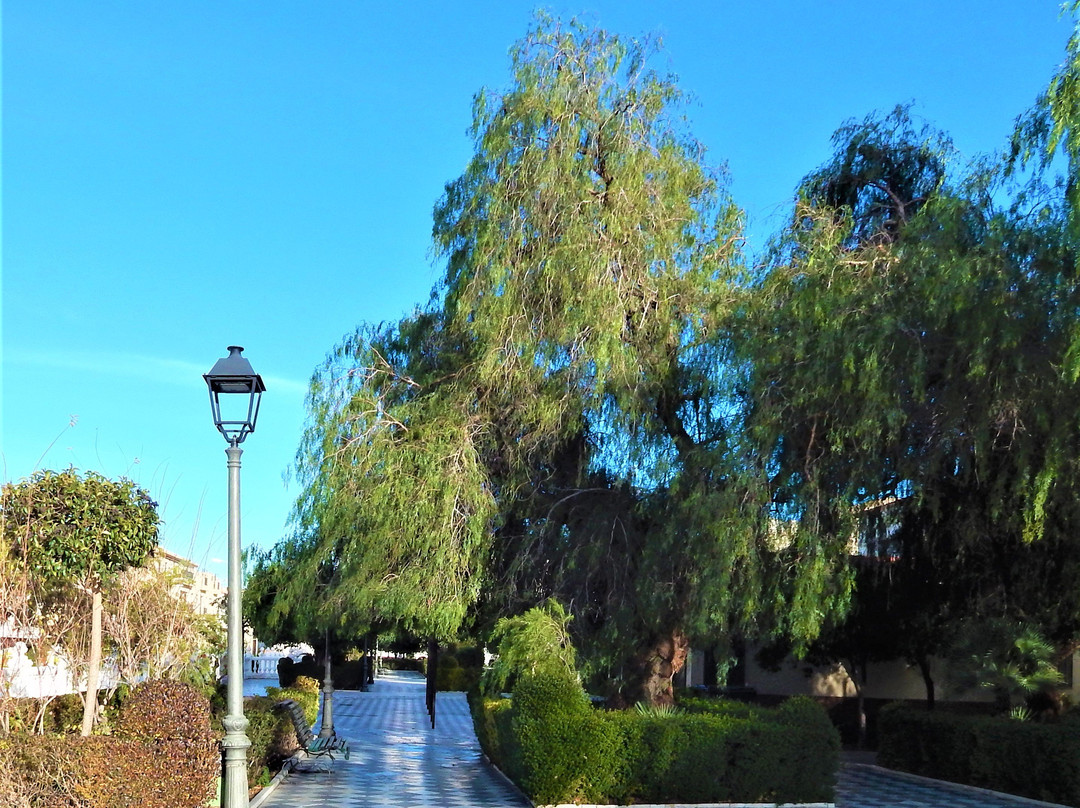 Jardines el paseo-Tijola必去景点