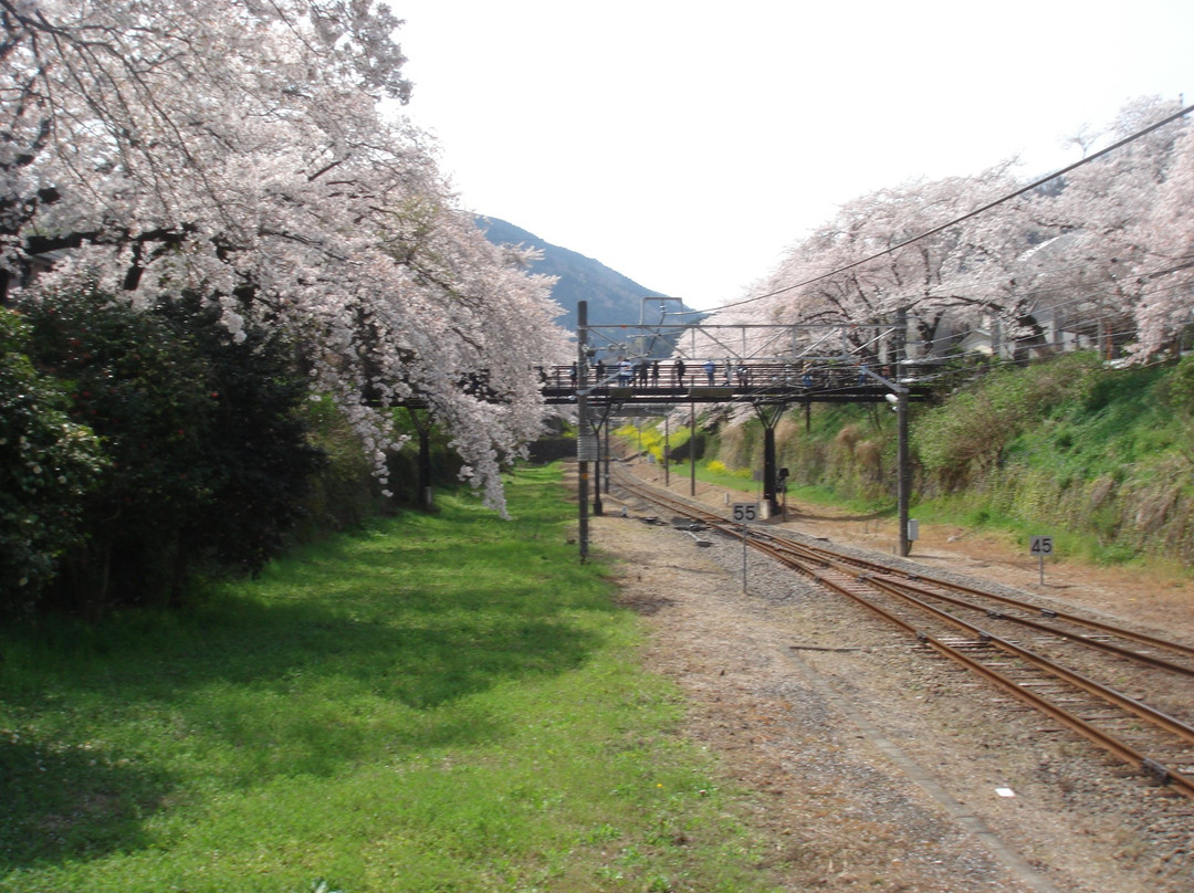 Yamakita-machi Furusato Koryu Center景点图片