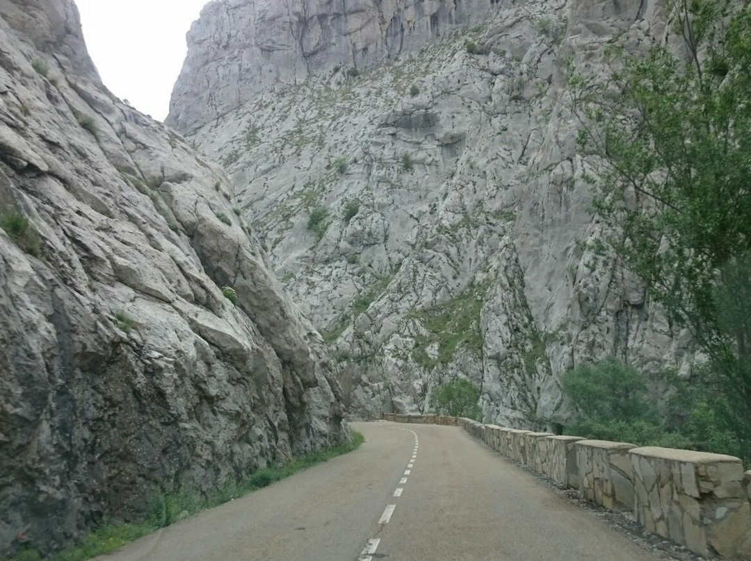 Hoces de Vegacervera景点图片