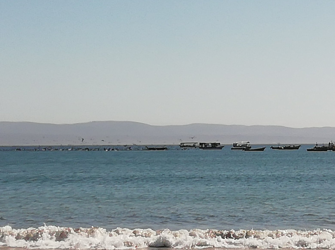 Playa Grande-Tongoy必去景点