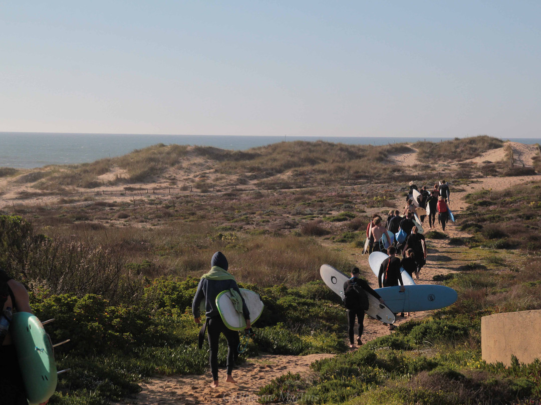 Lisbon Surf Camp & School-卡卡维卢斯必去景点