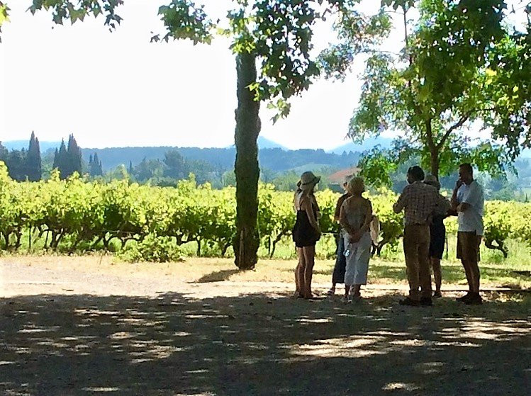 Private Wine Tasting Tours - Visites privées du domaine et dégustation-Cairanne必去景点