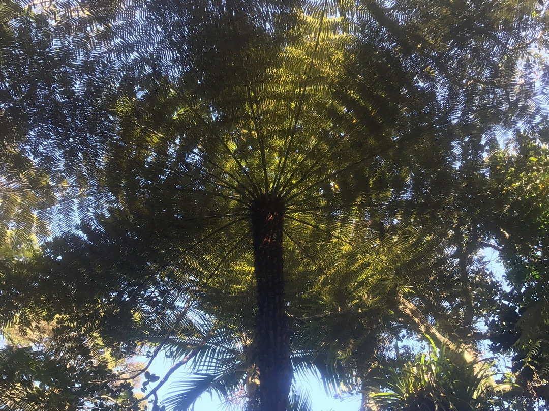 Kaitoke Hot Springs景点图片