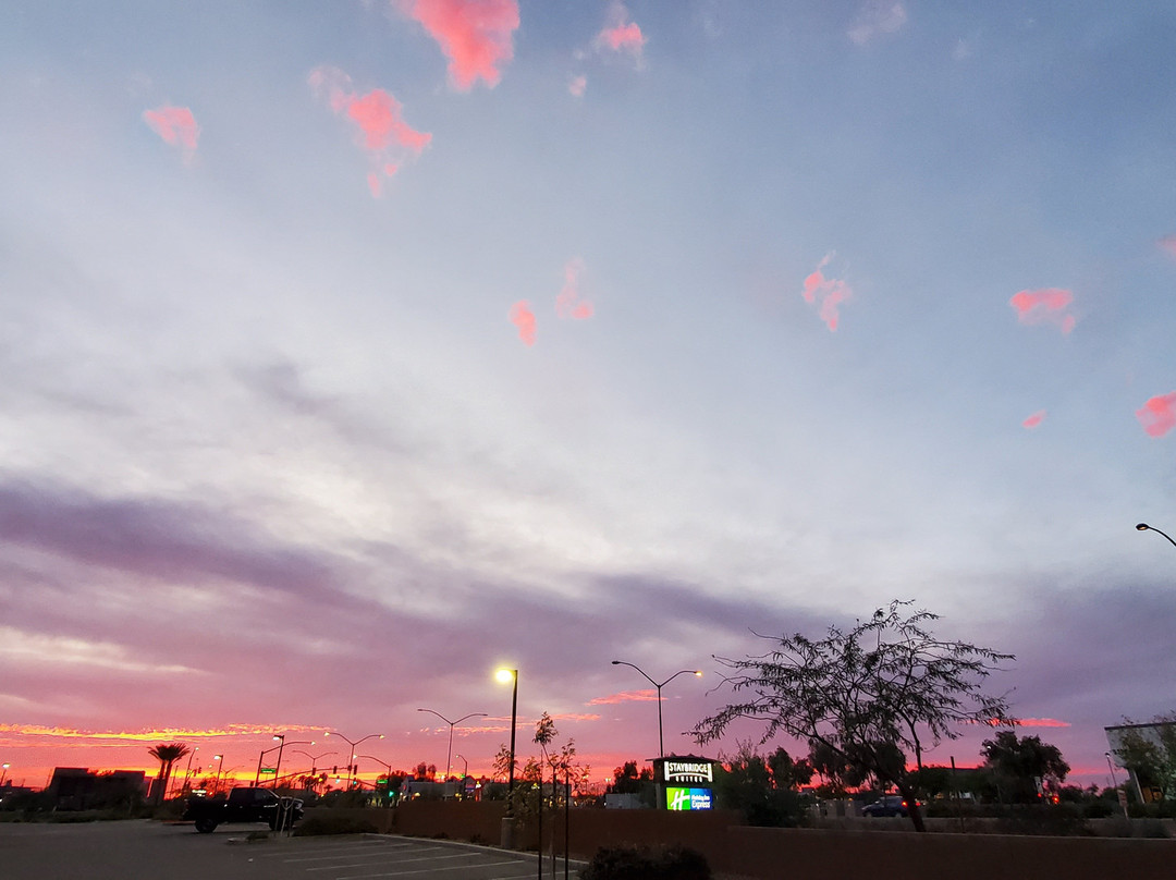 Staybridge Suites Phoenix East - Gilbert by IHG主图