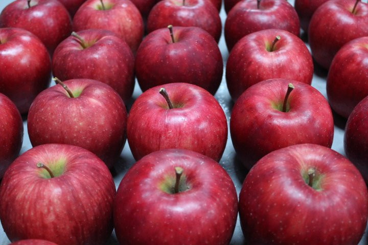 Tamura Apple Farm-沼田市必去景点