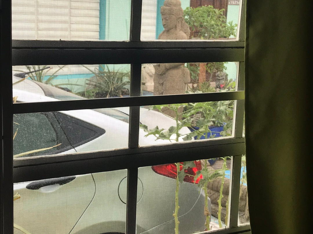 阿祖尔酒店及艺术开放式公寓主图