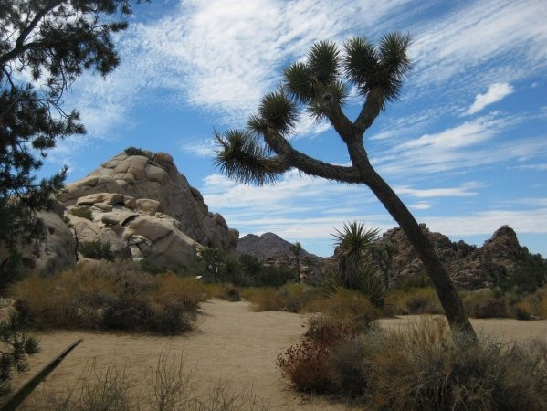 Lost Horse Valley-约书亚树国家公园必去景点