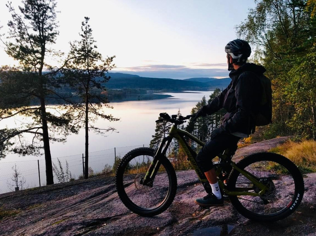 Offroad E-bike Adventure-奥斯陆必去景点