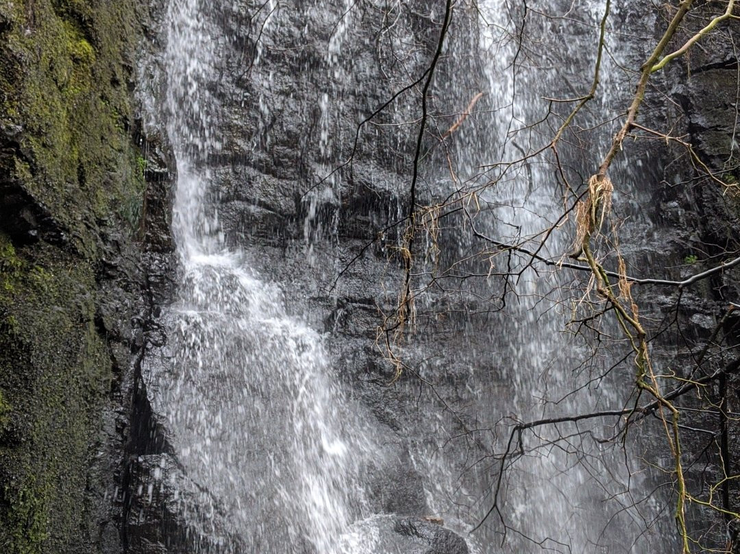 Waterfall Swallet景点图片
