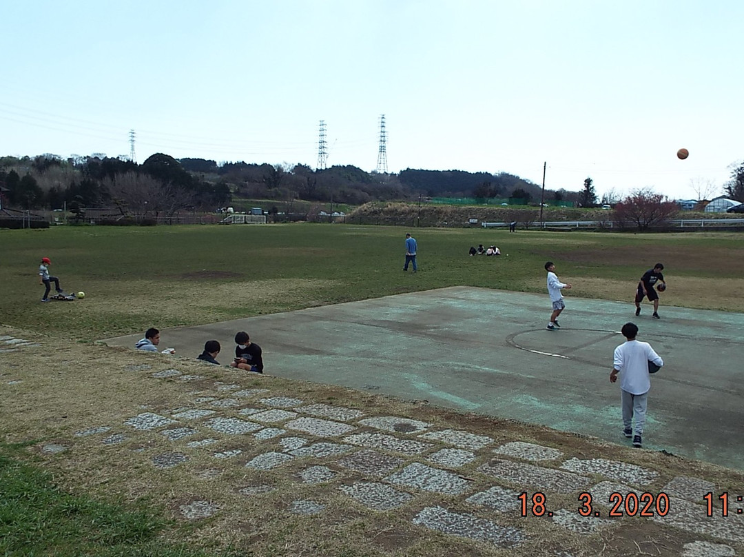 Tawara Furusato Park-秦野市必去景点