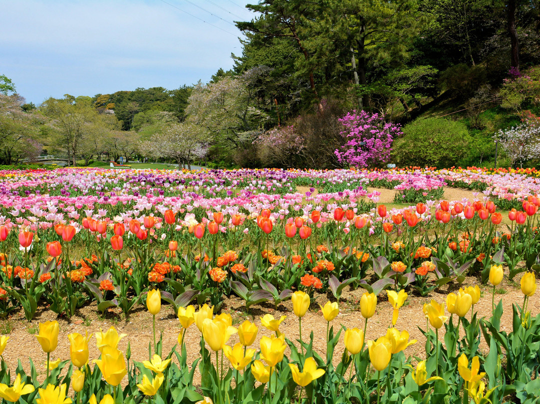 Hamamatsu Flower Park景点图片