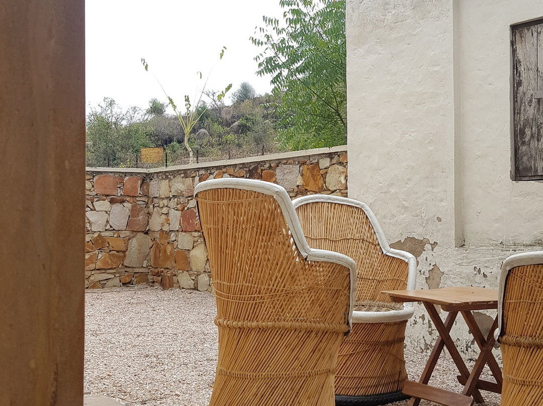 Trees N Tigers Sariska主图