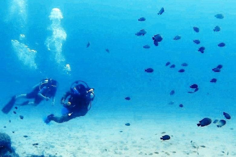 Reefers景点图片