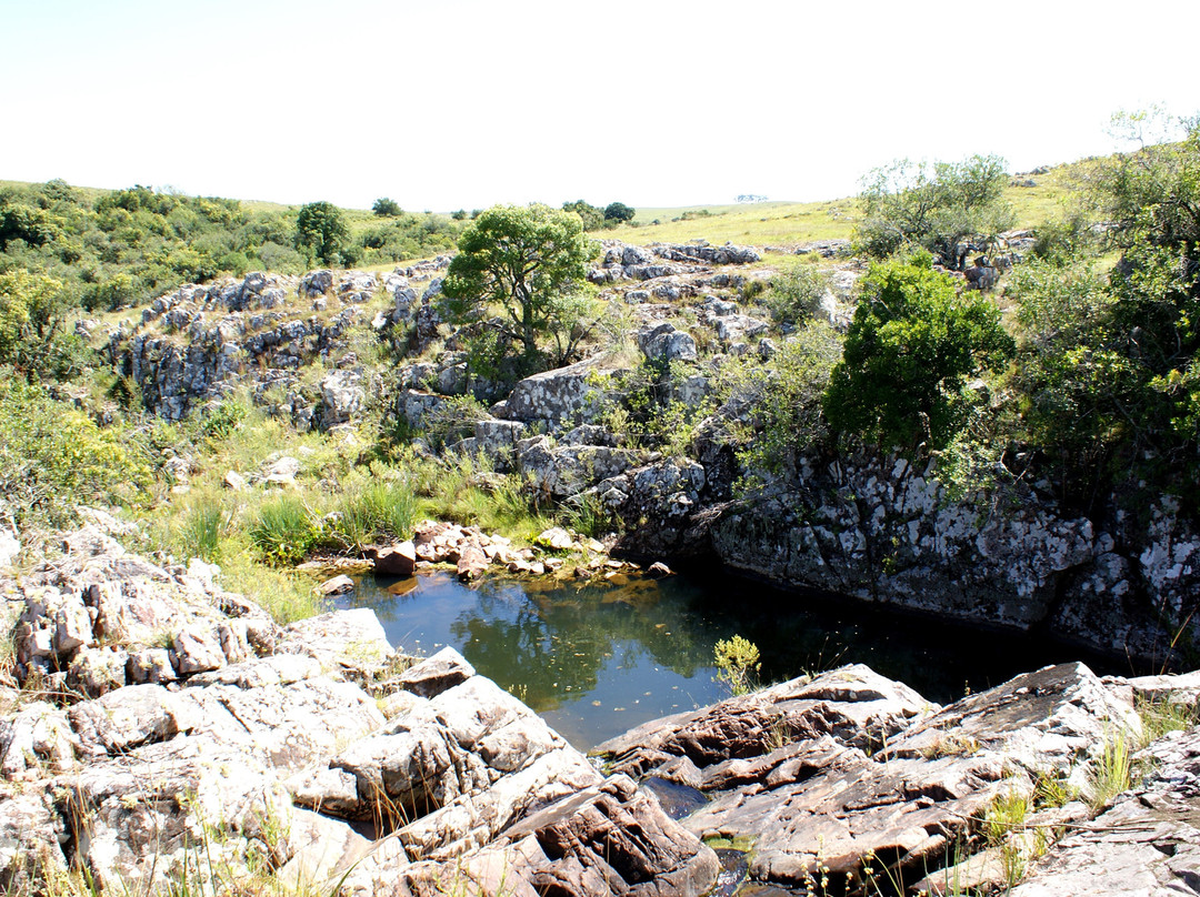 Estancia Los Platanos主图
