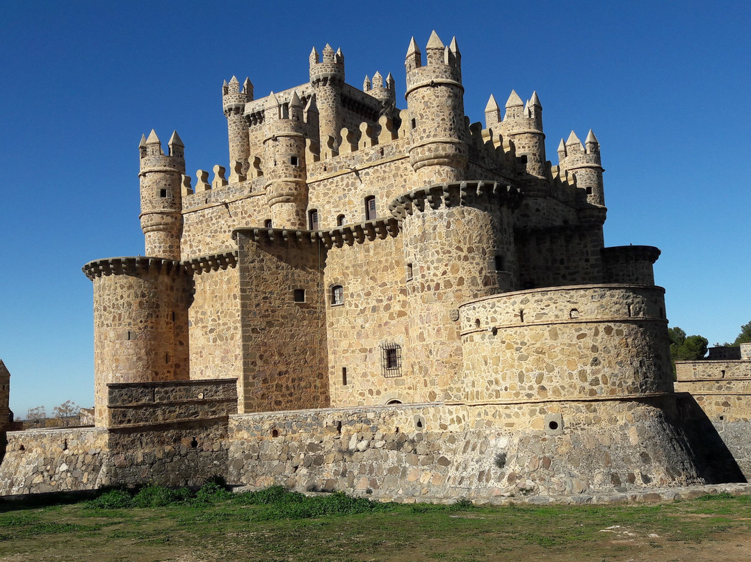 Castillo de Guadamur景点图片