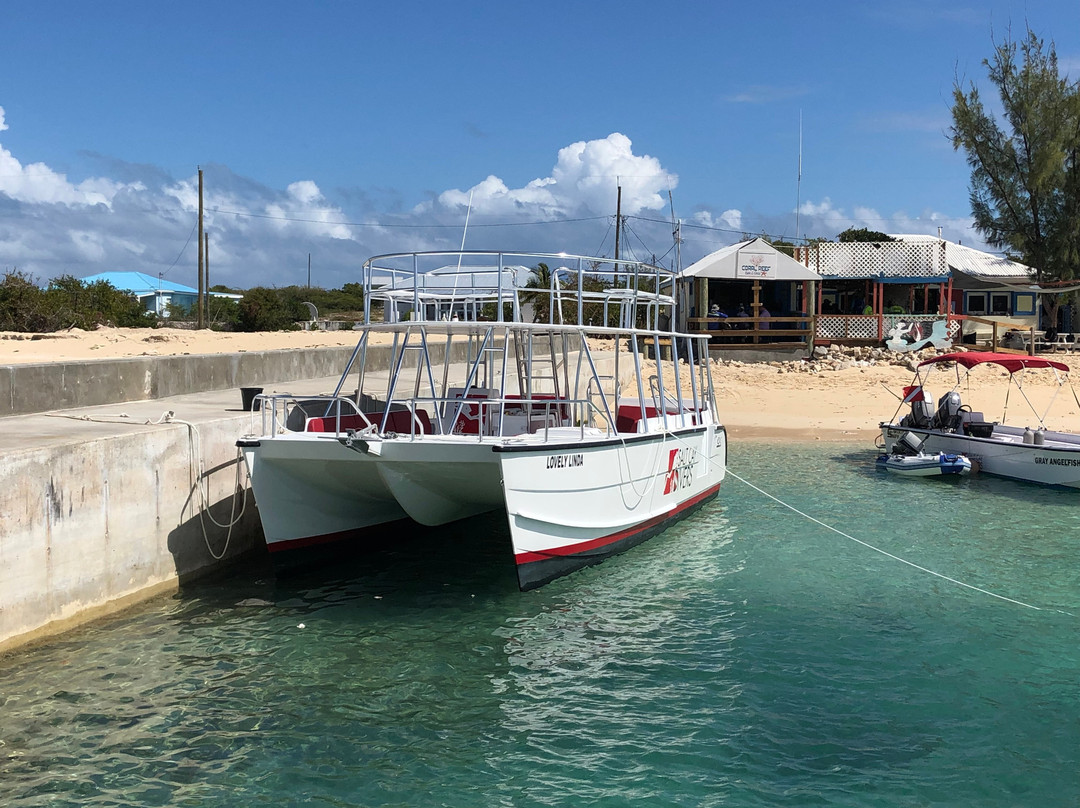 Tradewind Guest Suites on Salt Cay主图