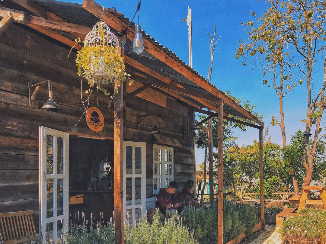 Lac Duong餐馆和美食-Blue Dream Bread