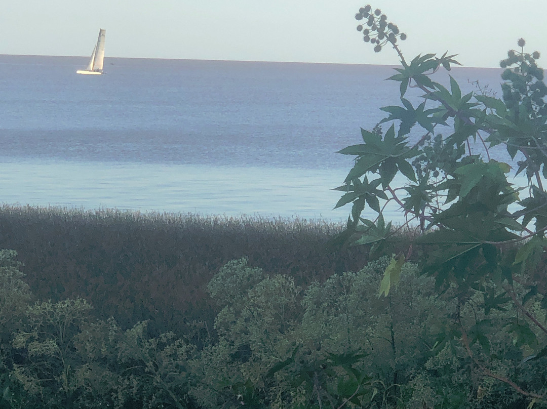 Aguila Grande Fuera del Tiempo Park-圣伊西德罗必去景点