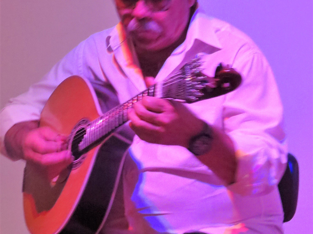 Fado no Museu-法罗必去景点