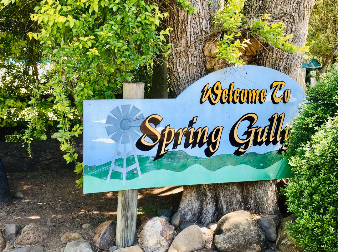 Spring Gully Conservation Park-Sevenhill必去景点