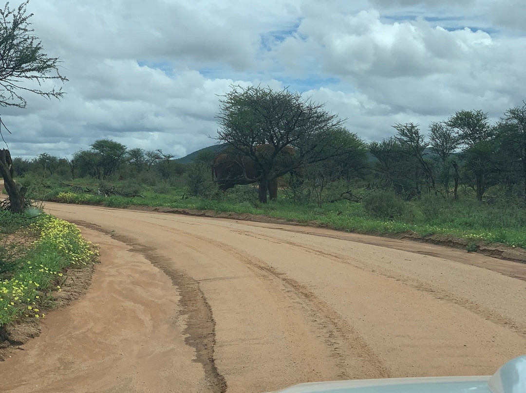 Seboa Tours and Car Hire-斯瓦科普蒙德必去景点