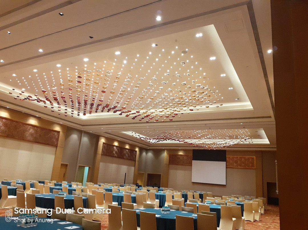 Feathers - A Radha Hotel主图