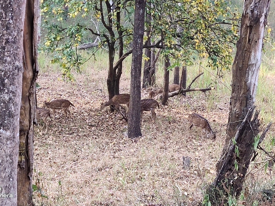 Muthanga Wildlife Sanctuary-Muthanga必去景点