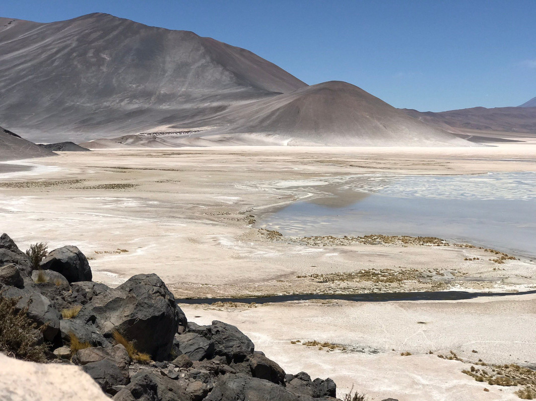 Laguna de Piedras景点图片