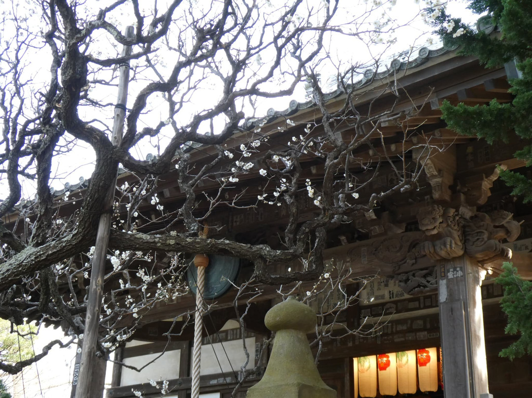 Hokaiji Temple景点图片