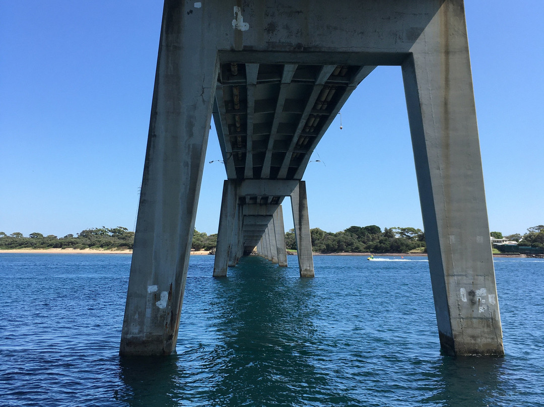 Wildlife Coast Cruises-考斯必去景点