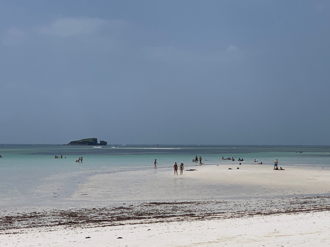 Spiaggia delle Tartarughe-瓦塔木必去景点