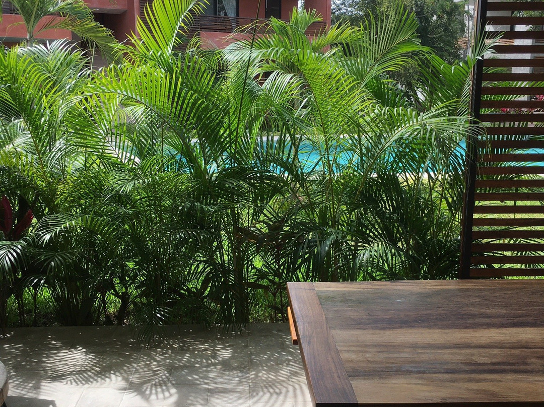 Hotel Panacea Tulum主图