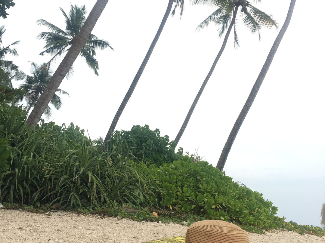 Sky Ferns Tours-加勒必去景点