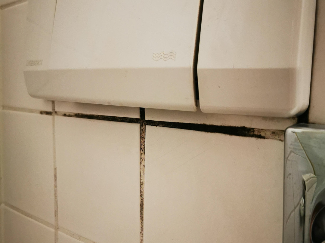 布莱梅翰希蒂克美居酒店主图