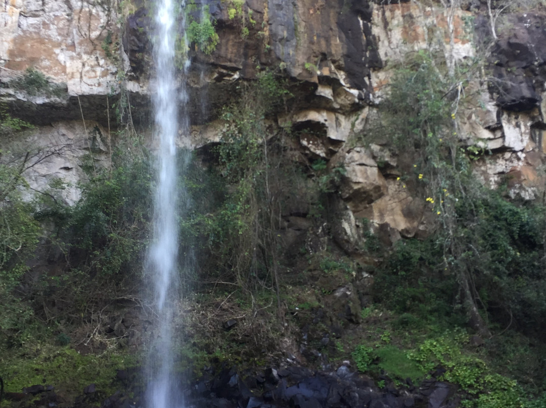 Sendero Macuco-伊瓜苏港必去景点