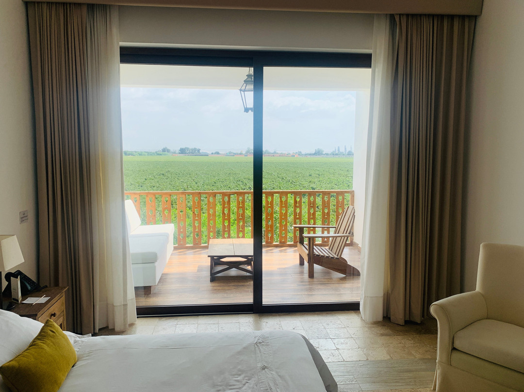 Hotel Viñas Queirolo主图