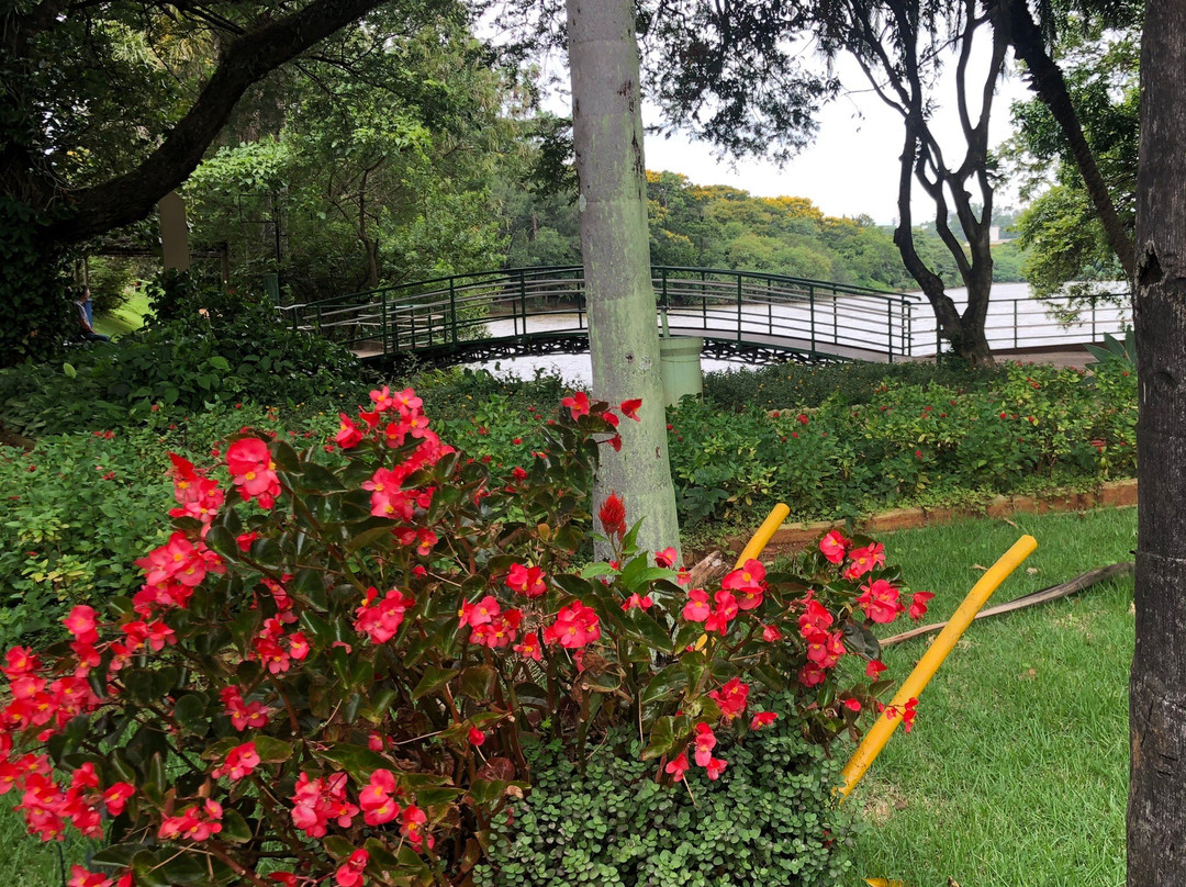 Parque Ecologico Prof. Hermogenes de Freitas-坎皮纳斯必去景点