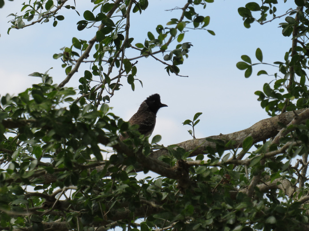 可爱蜜蜂酒店主图