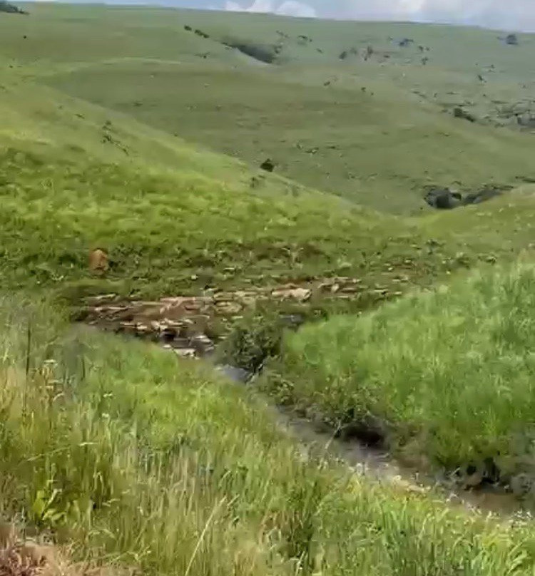 Highland Gate Golf and Trout Estate-德尔斯特鲁姆必去景点