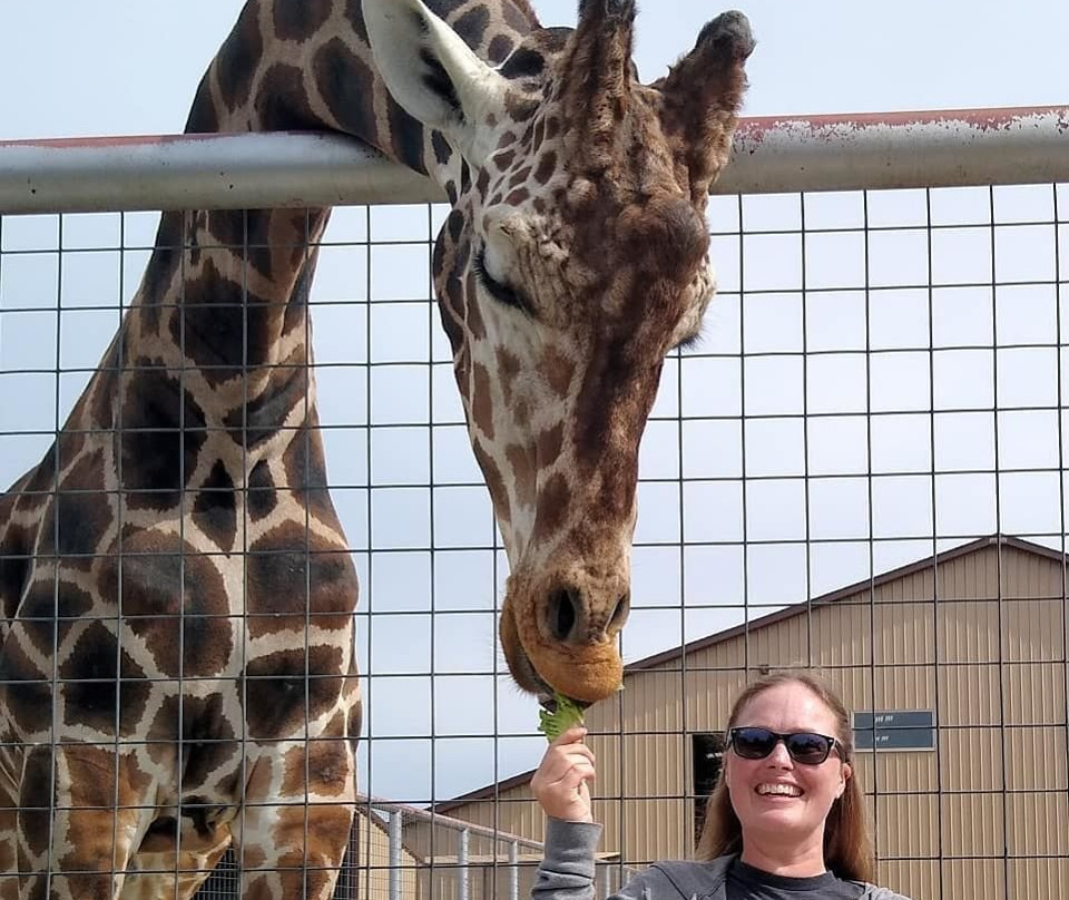 Boulder Ridge Wild Animal Park-Alto必去景点