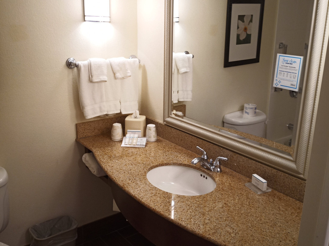 里奇蒙茵斯布鲁克希尔顿花园酒店主图