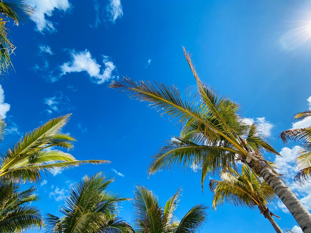 Beachin' Charters-西耶斯塔岛必去景点