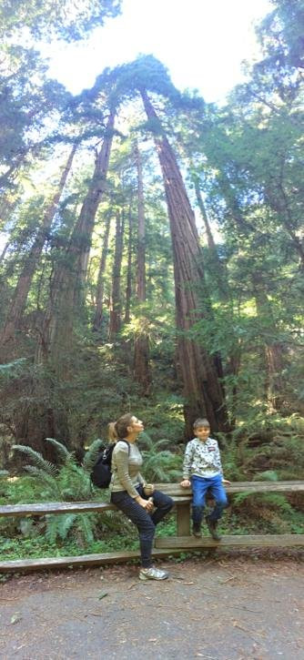 The Pelican Inn主图