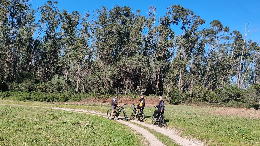 Sol In Bike景点图片